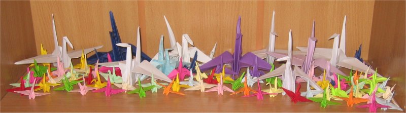 Mes 100 premires grues en origami