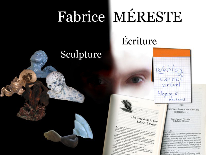 Site officiel de Fabrice M&Eacute;RESTE