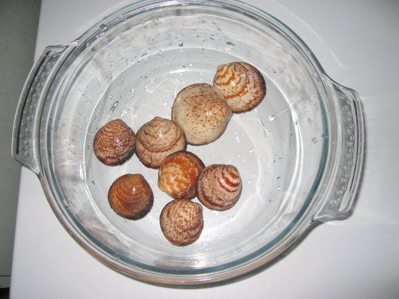 coquillages à la normande, les amandes de mer