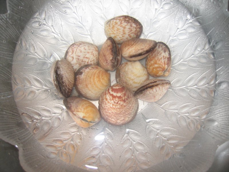 les amandes de mer dans l’eau salée
