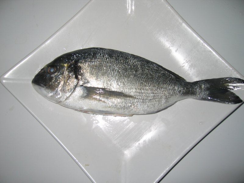 dorade royale